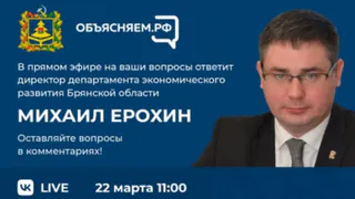 Директор департамента экономразвития ответит на вопросы брянцев