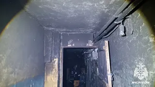 За сутки в Коми пожары унесли жизни 2-х мужчин