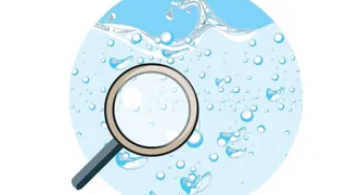 Владимирские эксперты назвали питьевой режим ключевым фактором долголетия