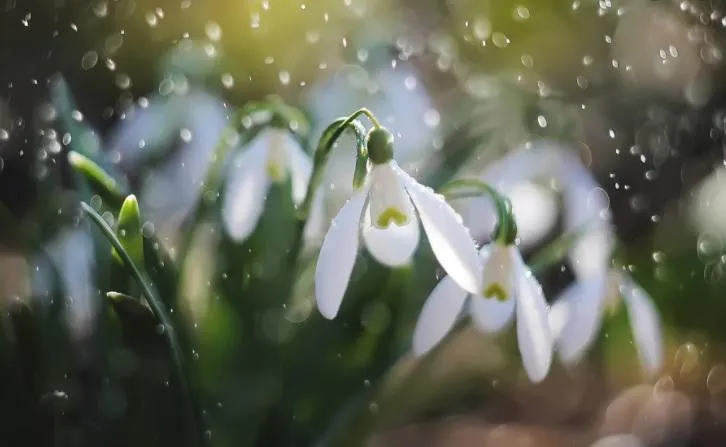 Погода недели: апрель стартовал с аномального тепла