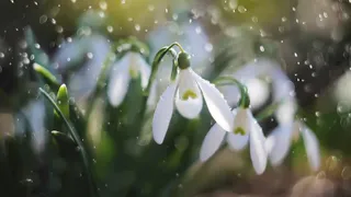 Погода недели: апрель стартовал с аномального тепла