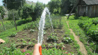 «Вода у нас теперь по графику»: в посёлке Варские из-за поливов начались перебои с водоснабжением