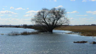 Какая погода ожидает Рязань до конца марта