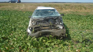 Не справилась с управлением: в Александро-Невском районе “Фольксваген Пассат” вылетел в кювет