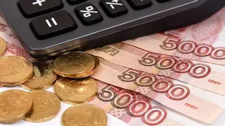 Около 300 миллионов выделено Рязанской области на соцвыплаты