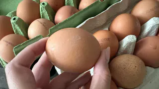 Зря только продукты переводила: Перестала хранить яйца на дверце холодильника - узнала самое лучшее для них место