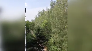 В Дягилеве похожие на взрывы звуки слышны из жилых домов