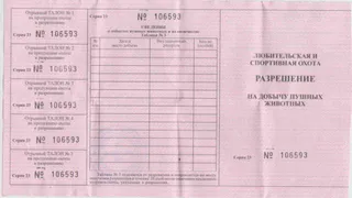 В регионе открыт прием заявок на добычу пушного зверя