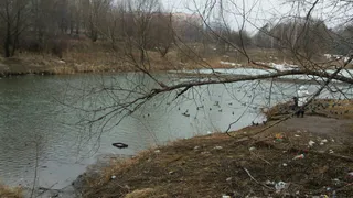 В центре Дашков появилась свалка мусора - фото