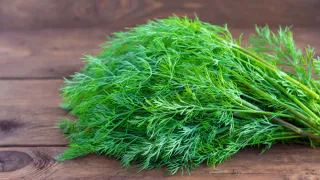 Зелень больше не морожу и не сушу на зиму: делаю из укропа, петрушки и чеснока ароматную приправу, хранится очень долго