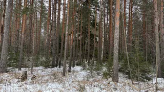 Во Владимирской области выявили риски бесконтрольного использования природных ресурсов