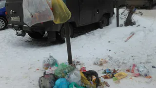 Народное фото: жители Касимова решили  выкидывать мусор с фантазией