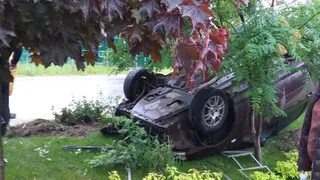 Пострадали только цветы: в Солотче автомобиль улетел в палисадник