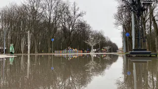 В Рязани затопило Лесопарк из-за половодья