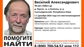 Волонтеры сделали выезд на поиски пропавшего в Коми пенсионера