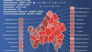 За сутки от COVID-19 умерли 20 брянцев
