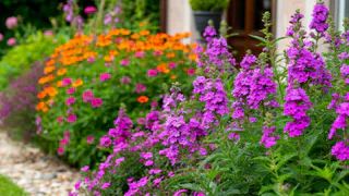 10 цветов для раннего и пышного цветения - вот что можно сеять уже в марте. Садоводы, берите на заметку