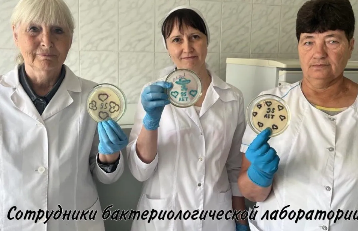 Пензенские врачи изображают новогодние рисунки с помощью стрептококка