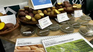 В Сыктывкаре стартовал посевной семинар аграриев