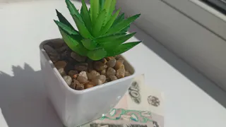 Всего одна утренняя привычка обрекает на беспросветную бедность: эксперт назвал ее — есть у многих