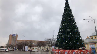 Новый год к нам мчится: в Рязани установят около 30 новогодних елок