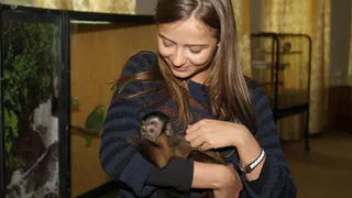 Что ждет контактные зоопарки в Рязани после принятия закона о защите животных