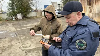 В Набережных Челнах для борьбы с незаконной рекламой на столбах задействуют систему «Ангел»