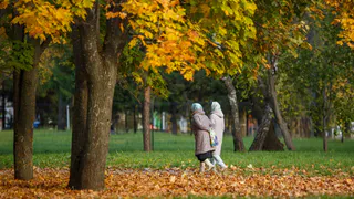 Жители Нижнекамска жалуются на отключение телеканалов и сбои в работе ЖКХ-сервисов