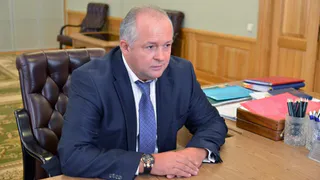 Дятьковский депутат рассказал о лесопромышленном «прожекте» местного магната Сергея Авдеева