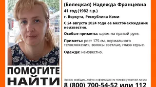 В Коми идут поиски пропавшей 41-летней женщины со шрамом на руке