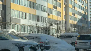 «Их только парковка не устроила?»: рейд в рязанских дворах вызвал волну споров