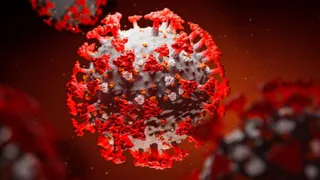 В Брянске за сутки было подтверждено 108 случаев Covid-19