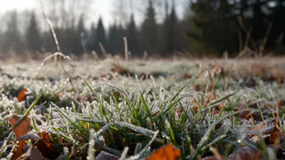 Температурная аномалия ждет россиян в конце мая и начале июня: заморозки сменятся резкой жарой +35 