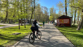 Погода в Челябинской области на 27 мая: от заморозков до 27-градусной жары