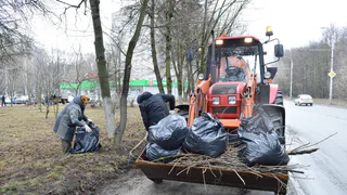 В Рязани состоялся массовый общественный субботник