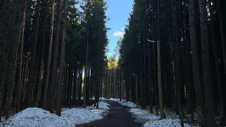 27 марта пройдет в Коми со знаком "плюс": от 1 до 13 градусов