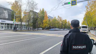 С 2 июня водительские права можно выбросить: новое правило ГИБДД ставит водителей в ступор