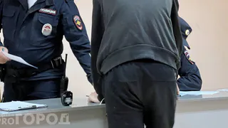 В Коми мужчина избил подругу, а после оказал сопротивление правоохранителям