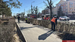 Во Владимире проходит первый общий городской субботник в этом сезоне