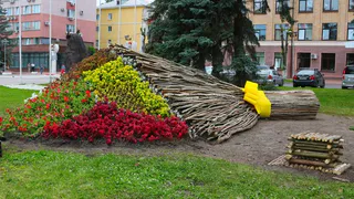 Проект озеленения Брянска может обернуться скандалом