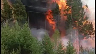 Лесной спецназ Коми вернулся с победой: пожары в Забайкалье отступили