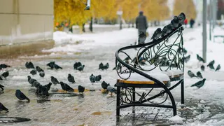 Зимний Нижнекамск глазами местных фотолюбителей