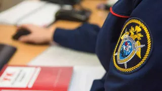 В Брянске выясняют обстоятельства гибели 9-классника