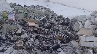 Дорогие яйца начали находить на свалках