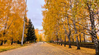 Прогноз погоды в Нижнекамске на вторник, 14 октября