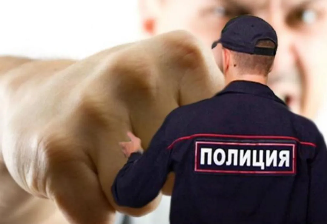 Татарстанца, ударившего полицейского, оштрафовали на 20 тыс. рублей