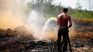 В Клепиковском районе Рязанской области потушили лесной пожар