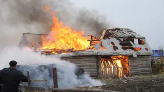 В Набережных Челнах собака спасла хозяйку от смерти, и сама погибла от огня