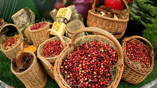 Агро-форум в Москве открыл новые возможности для переработки дикоросов в регионе