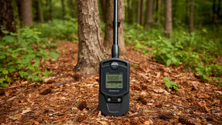 «Кто ищет, тот найдет»: Купил металлоискатель и переехал в деревню – бизнес попер в первую же неделю – никто не верил, а сейчас завидуют